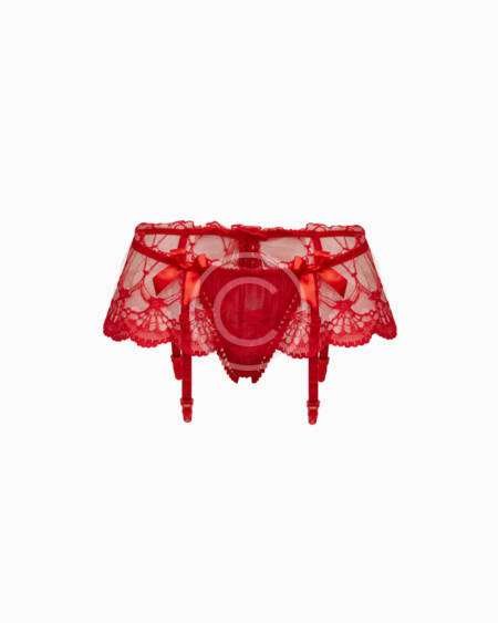Red lace panties